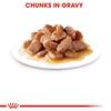 Royal Canin Urinary Care Chunks In Gravy Cat Food 12x85g