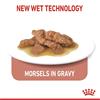Royal Canin Indoor Sterilised Morsels In Gravy 12x85g