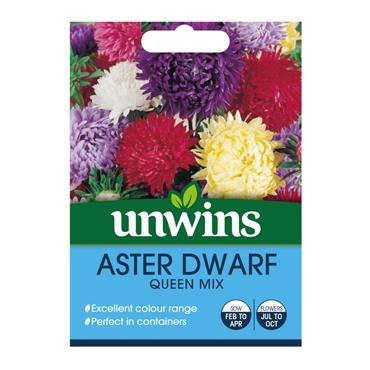 Unwins Aster Dwarf Queen Mix
