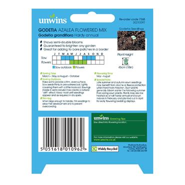 Unwins Godetia Azalea Flowered Mix Seeds