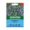 Unwins Lobelia Sapphire Trailing Seeds