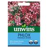 Phlox Twinkle Stars Seeds