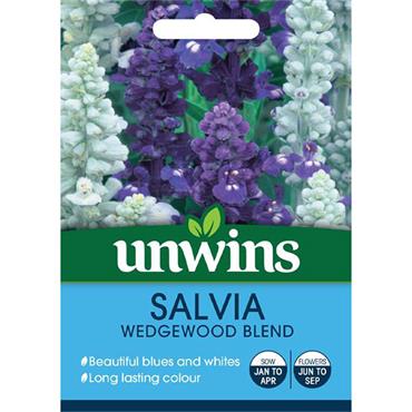 Unwins Salvia Wedgewood Blend Seeds