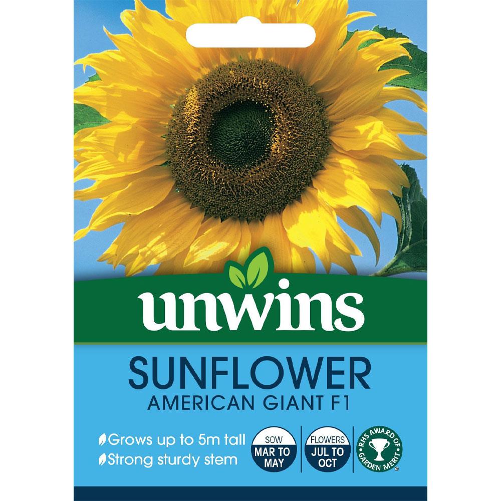 Unwins Sunflower American Giant Seeds Stakelums Home & Hardware