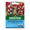 Unwins Antirrhinum Night & Day Seeds