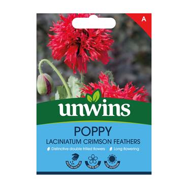Unwins Poppy Crimson Feathers Seeds