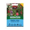 Unwins Sweet Pea Seeds