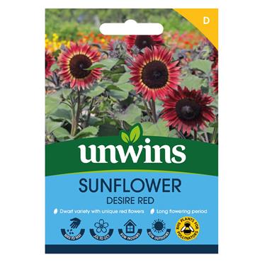 Unwins Sunflower Desire Red Seeds