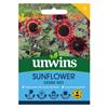 Unwins Sunflower Desire Red Seeds