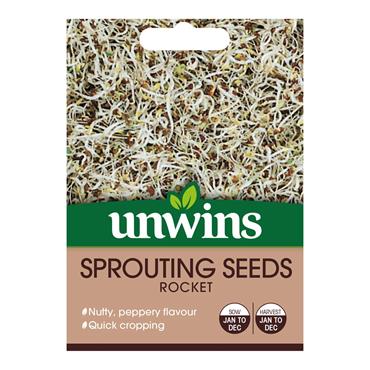 Sprouting Seeds Rocket