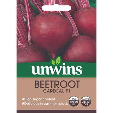 Beetroot Cardeal F1