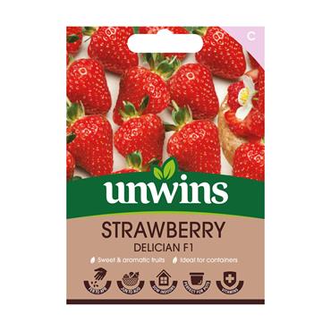Unwins Strawberry Delician Seeds