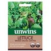 Unwins Lettuce Leaves Mixed Salad Leaves Seeds