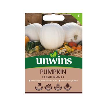 Unwins Pumpkin Polar Bear F1 Seeds