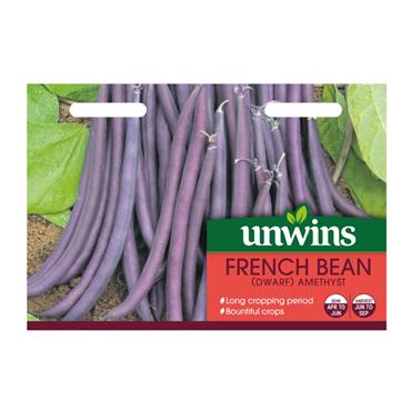 Unwins Dwarf French Bean Amethyst Seeds