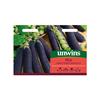 Unwins Pea Purple Magnolia Snap Seeds