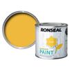 Ronseal Garden Paint Sundial 250ml
