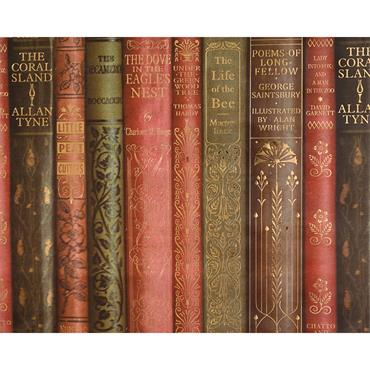 Kaemingk Wrapping Paper Book Print Assorted 70cmx200cmx0.1cm