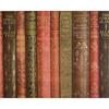 Kaemingk Wrapping Paper Book Print Assorted 70cmx200cmx0.1cm