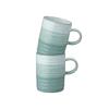 Kiln Green Mugs 2 Pack