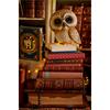 Kaemingk Owl Decoration 18cmx21.5cmx24.5cm