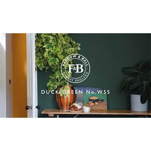 Farrow & Ball 100ml Duck Green Sample Pot No.W55 Stakelums Home & Hardware Tipperary Ireland
