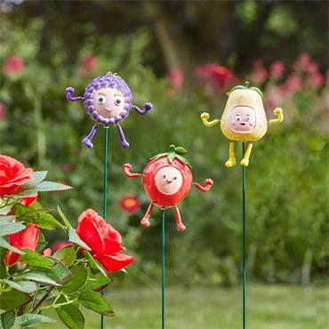 Smart Garden Frooties Strawberry Pear Blackberry Loony Stakes Assorted
