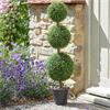 Smart Garden Trio Topiary Tree 80cm
