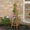 Smart Garden Woodland Obelisk 1.5mt Tan Fsc1