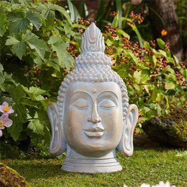 Smart Garden Buddha Head Xl