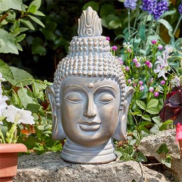 Smart Garden Buddha Head