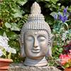Smart Garden Buddha Head Large