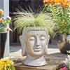 Smart Garden Buddha Planter