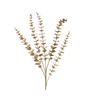 Kaemingk Spray Eucalypthus On Stem Gold 12cmx7cmx85cm