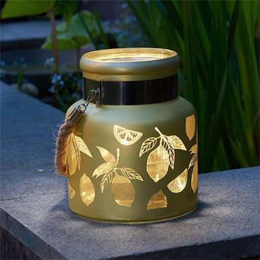 Smart Garden Lemon Lantern Yellow