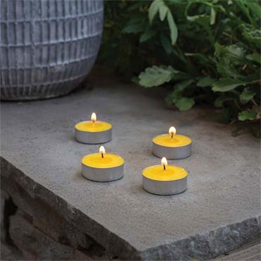 Smart Garden Citronella Tealights 50 Pack