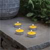 Smart Garden Citronella Tealights 50 Pack