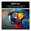 Lg 55" Smart Qned-evo 4k Uhd Tv