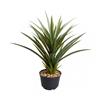 Smart Garden Spiky Sisal Faux Pot Plant