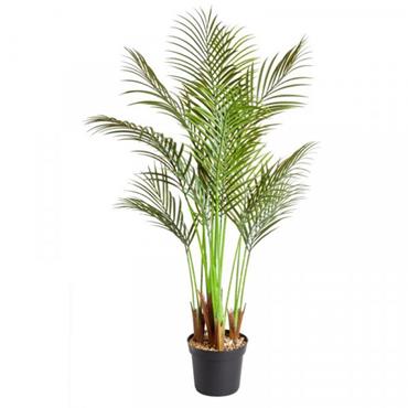 Smart Garden 124cm Phoenix Palm