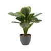 Smart Garden Faux Decor Prayer Plant 40cm