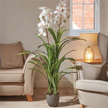 Smart Garden White Orchid 140cm