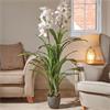 Smart Garden White Orchid 140cm