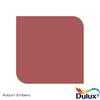 Dulux Tester Auburn Embers 30ml