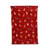 Kaemingk Throw Flannel Bear 2 Assorted 130cmx170cmx3cm