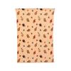 Kaemingk Throw Flannel Bear 2 Assorted 130cmx170cmx3cm