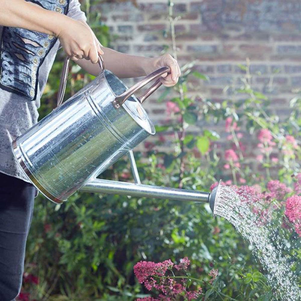 Smart Garden Watering Can Galvanised Steel 9L Stakelums Home
