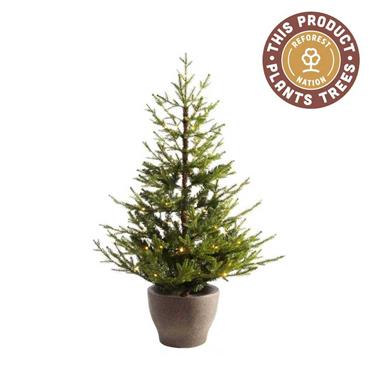 Norway Prelit Battery Artificial Christmas Tree 3ft