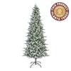 Killington Fir Slim Frosted Christmas Tree 2.4m (8ft)