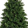 Hollimont Fir Premium Christmas Tree 3m (10ft)